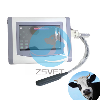 Scanner a ultrasuoni digitali completi