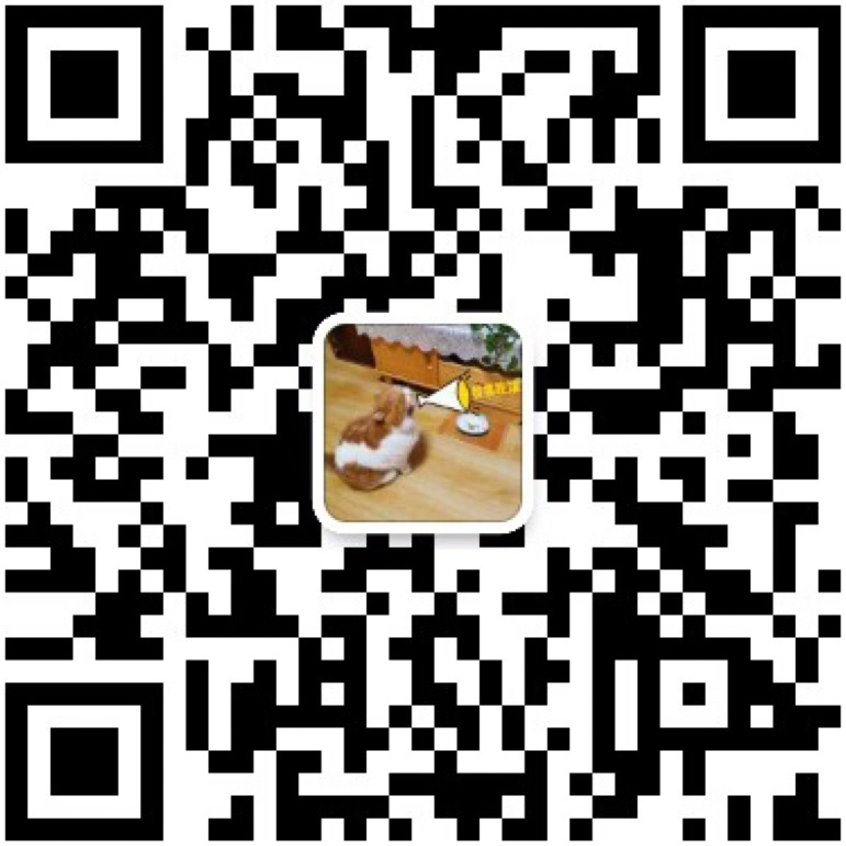 the qr code