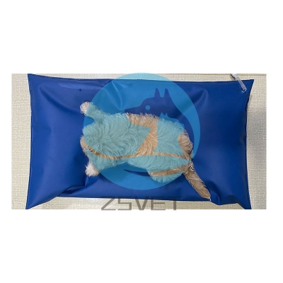 Vacuum immobilization mattress
