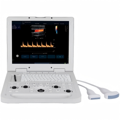 ZSVET Veterinary Color Doppler System — 98 Animal Body Posit